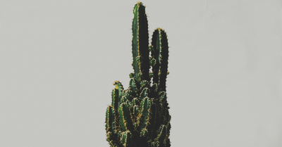 Hormesis: How Discomfort Makes You Stronger